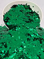 GREENHORN