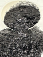 BLACK BEAUTY