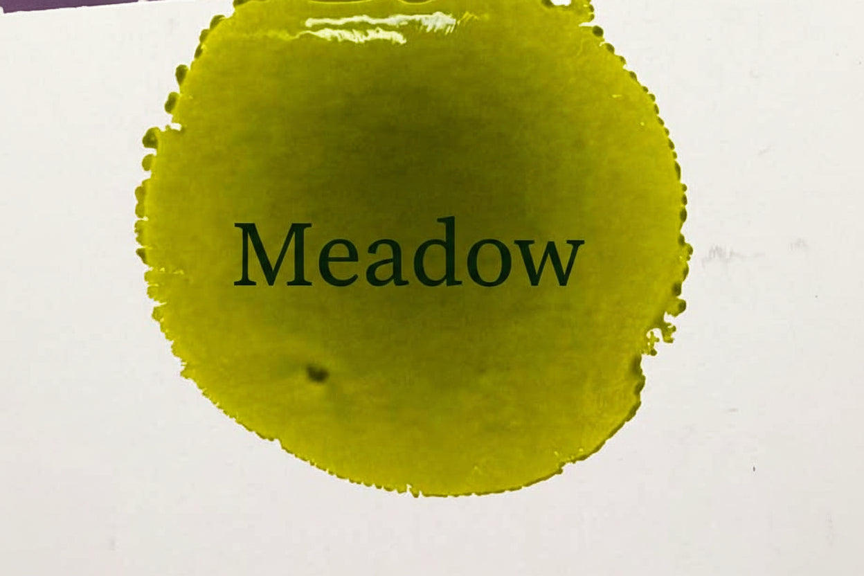 Outlaw Alcohol Inks