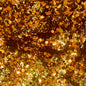 Longhorn Glitz