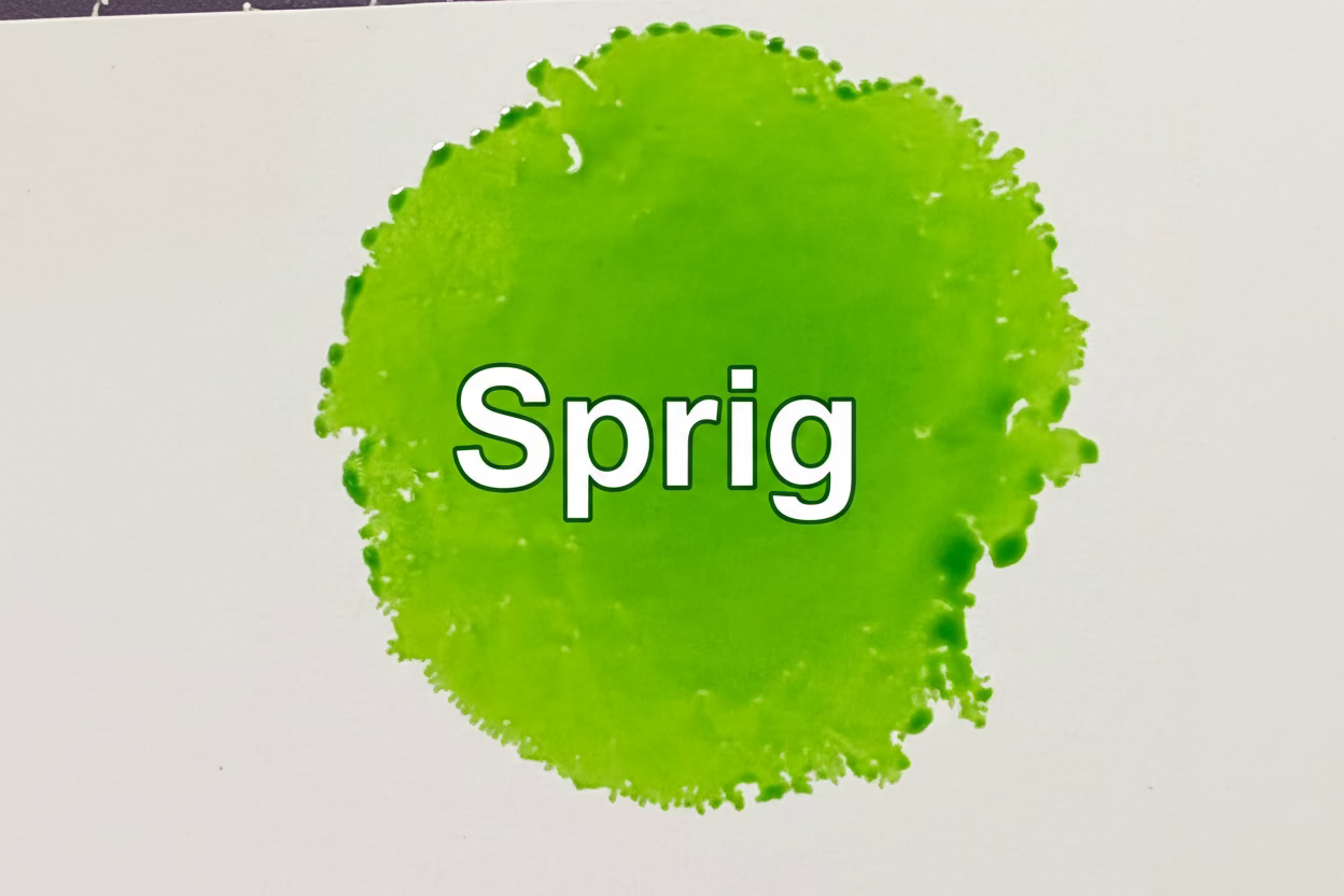 Outlaw Alcohol Inks